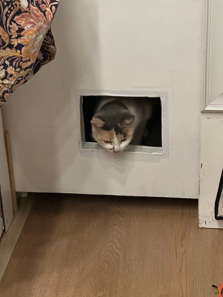 Cat door for Cat-friendy travel