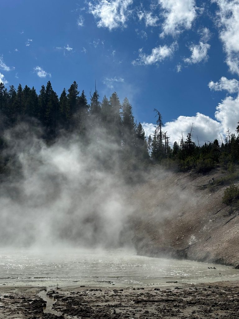 Mammoth Springs