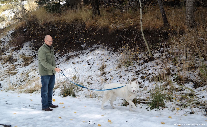 7 Fun Things to Do in Flagstaff + RV Living Tips 6 Arizona Snowbowl