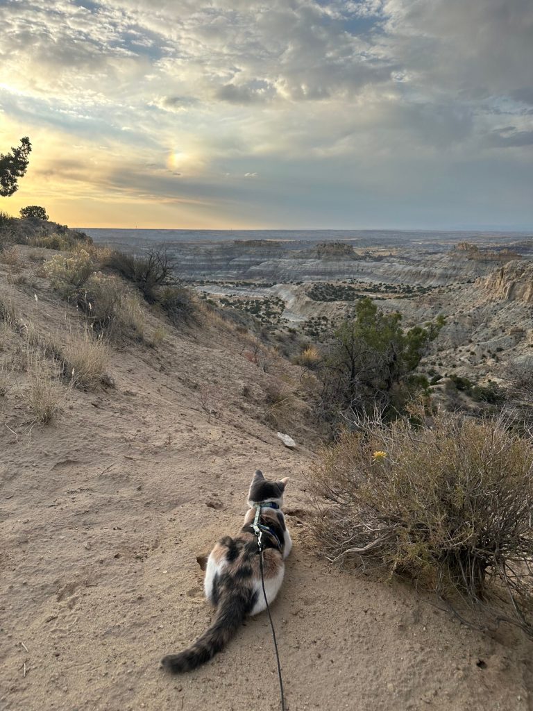Lucky's view over Angel Peak Canyon