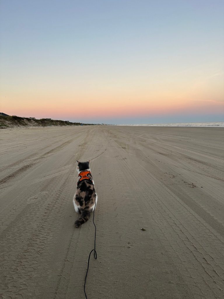 We arrived at south Texas beaches! Bolivar Beach