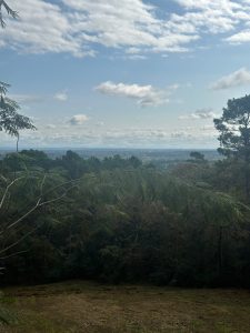 Stunning views from my boondocking spot near Alto, TX