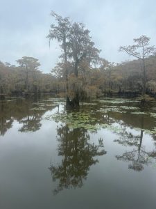 Caddo Lake in Texas was stunning to see.