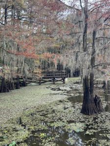 Caddo Lake was another world