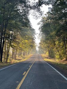 Driving through Davy Crockett National Forest