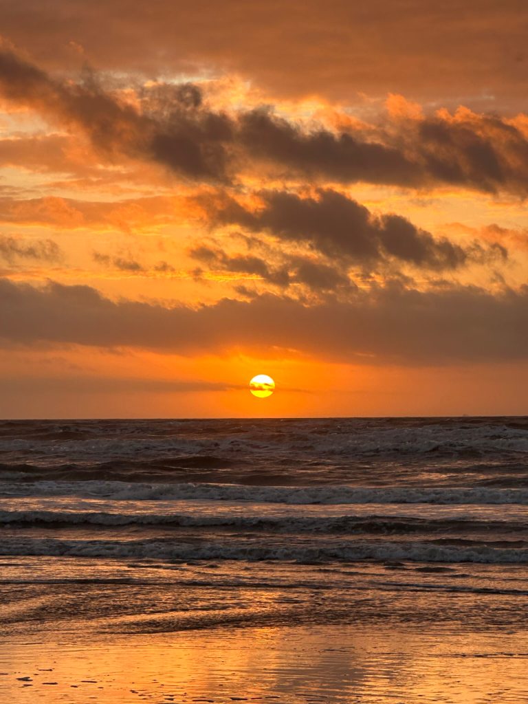 You can always find New Adventures on Texas Beaches