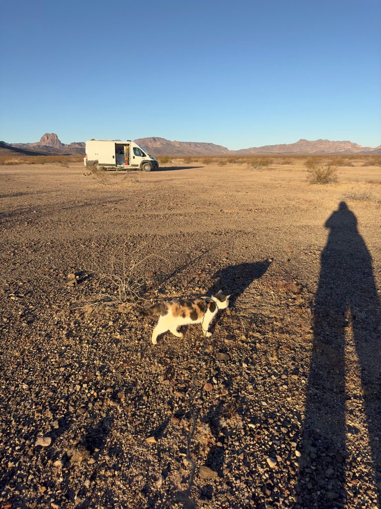 Lucky loved her walks while we were wandering in Arizona