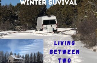 Winter Survival: Not Lost-Now Between Two Worlds